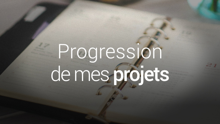Progression de mes projets de roman